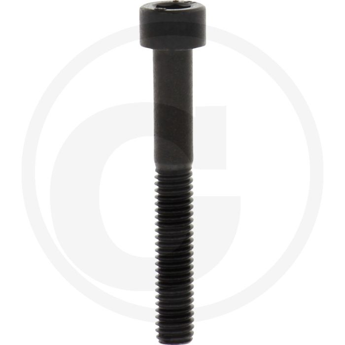 Cil. binnenzeskantbout M6x45 DIN912 Staal 12.9