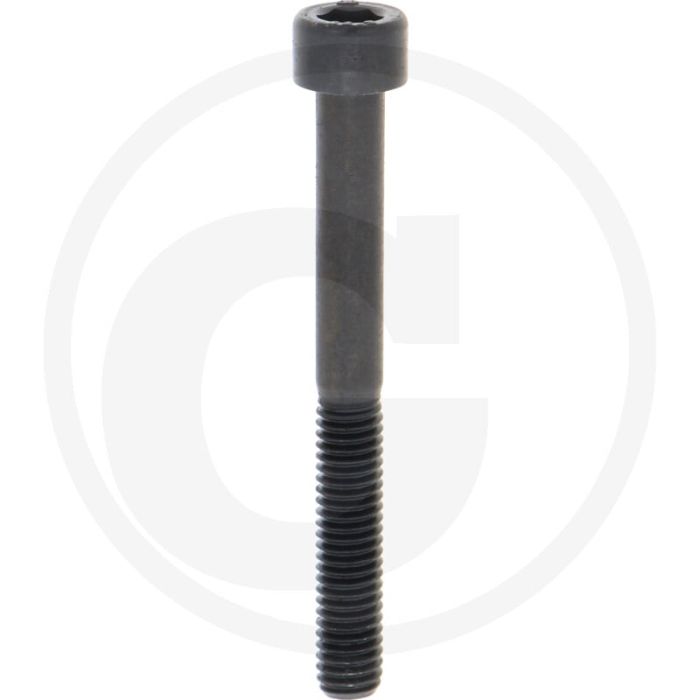 Cil. binnenzeskantbout M6x55 DIN912 Staal 12.9