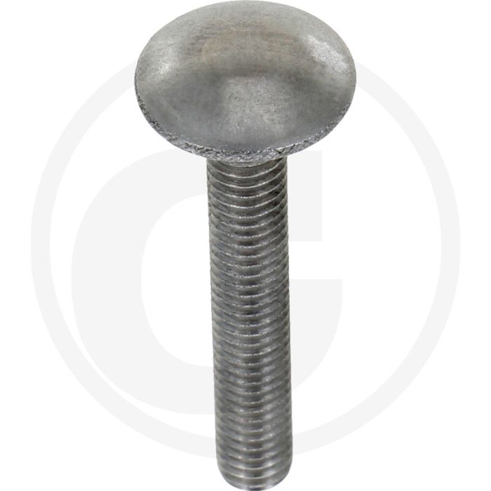 Slotbouten M6 x 40, DIN 603, Roestvrijstaal (V2A), Platte ronde kop