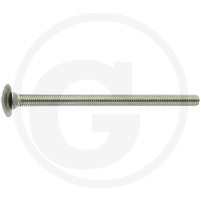 Slotbout M6 x 100, DIN 603 – Roestvrijstaal (V2A), Kwaliteitsklasse 7