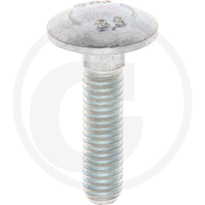 VPE100 slotbouten M6x25 DIN 603 staal 8.8 gegalvaniseerd platte ronde kop