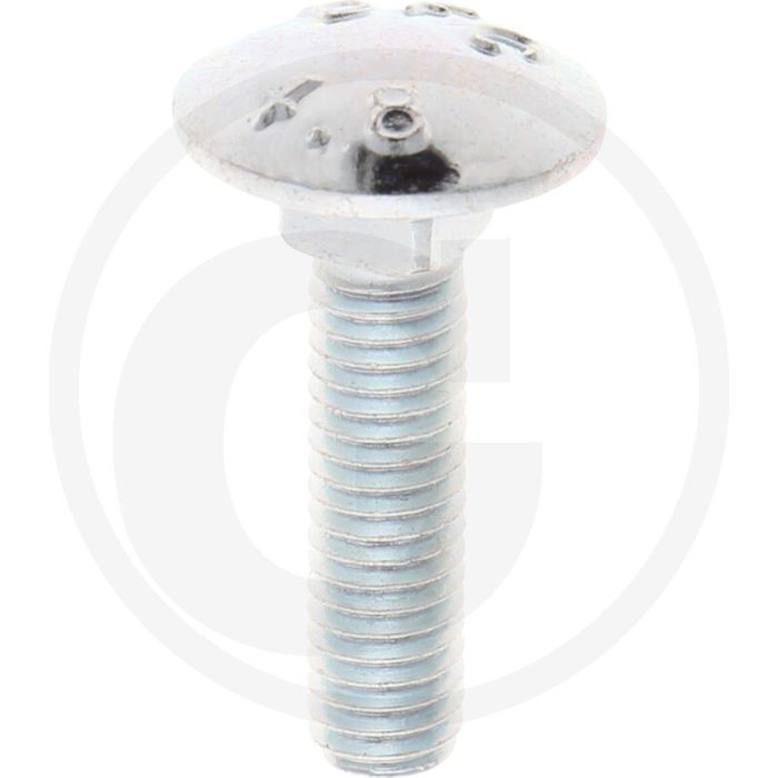 VPE100 slotbouten M6x25 DIN 603 staal 4.6 gegalvaniseerd platte ronde kop