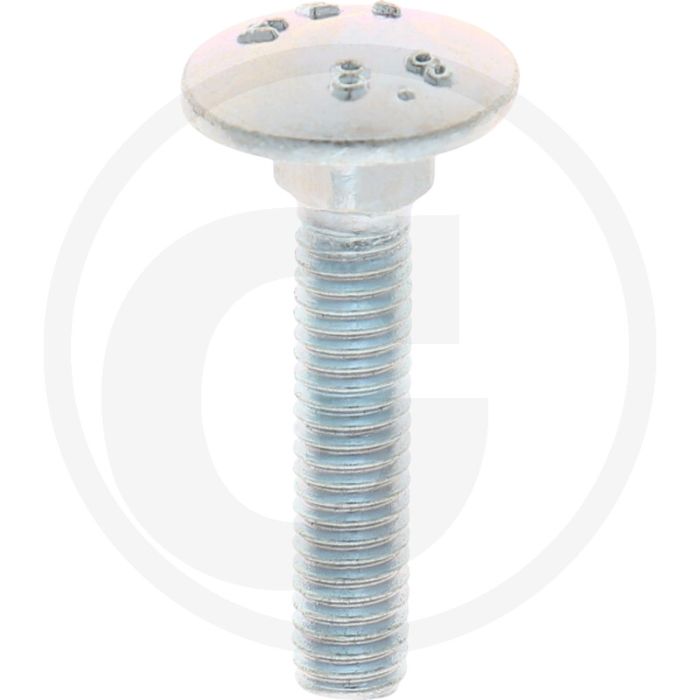 VPE100 slotbouten M6x30 DIN 603 staal 8.8 gegalvaniseerd platte ronde kop
