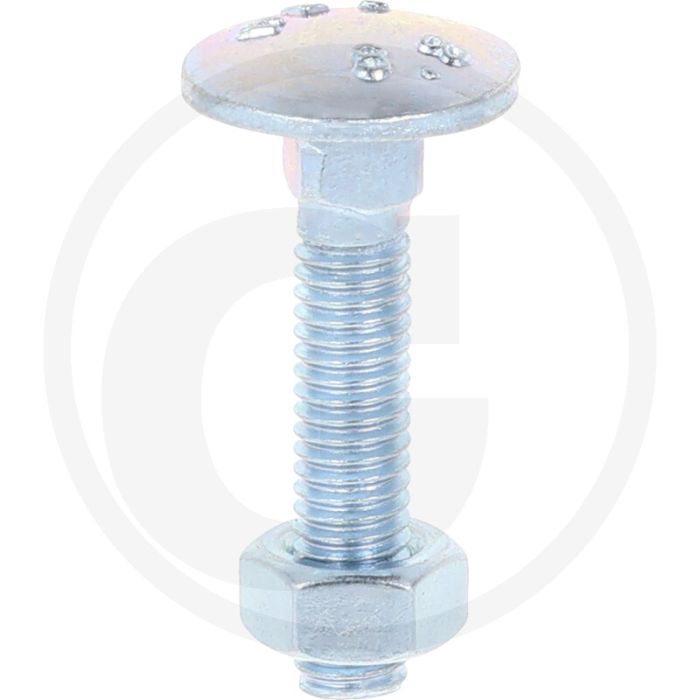 Slotbouten DIN 603 M6 staal 4.6 gegalvaniseerd 30 mm platte ronde kop