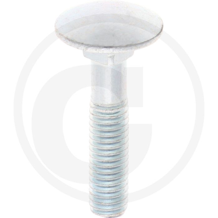 VPE100 slotbouten M6x30 DIN 603 gegalvaniseerd staal 4.6 platte ronde kop