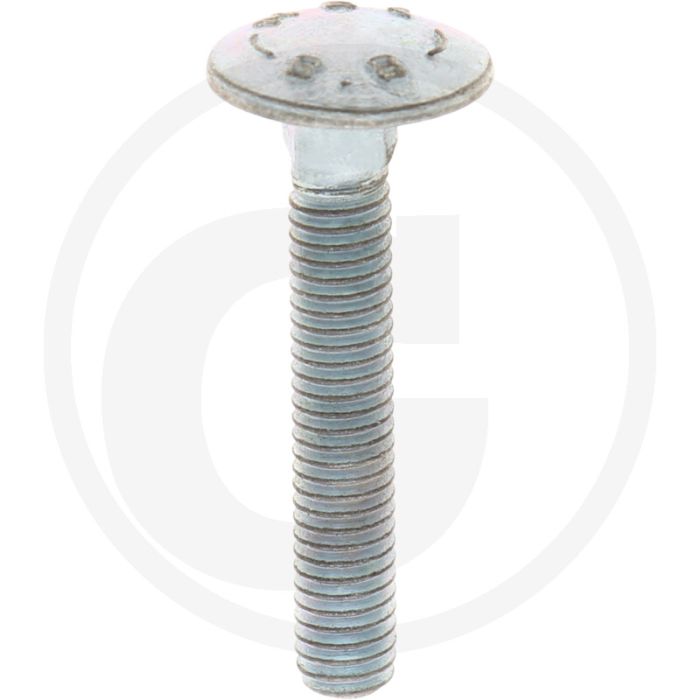 VPE50 slotbouten M6x35 DIN 603 staal 8.8 gegalvaniseerd platte ronde kop