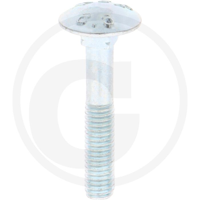 VPE50 slotbouten M6x35 DIN 603 staal 8.8 gegalvaniseerd platte ronde kop
