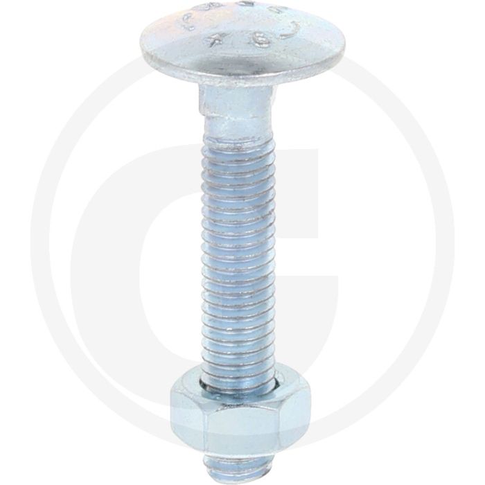 Slotbouten DIN 603 M6 staal 4.6 gegalvaniseerd 35 mm platte ronde kop