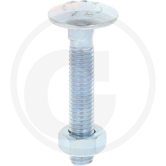 VPE50 slotbouten M6x35 DIN 603 gegalvaniseerd staal 4.6 platte ronde kop