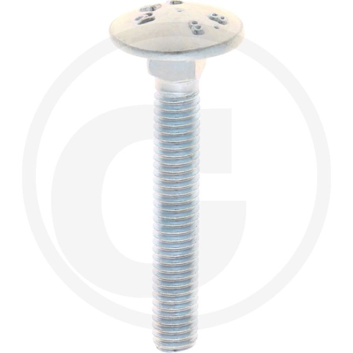 VPE50 slotbouten M6x40 DIN 603 staal 8.8 gegalvaniseerd platte ronde kop