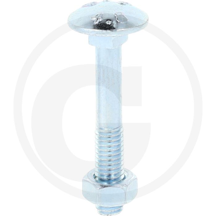 Slotbouten DIN 603 M6 staal 4.6 gegalvaniseerd 40 mm platte ronde kop