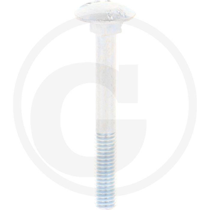 VPE50 slotbouten M6x50 DIN 603 staal 8.8 gegalvaniseerd platte kop