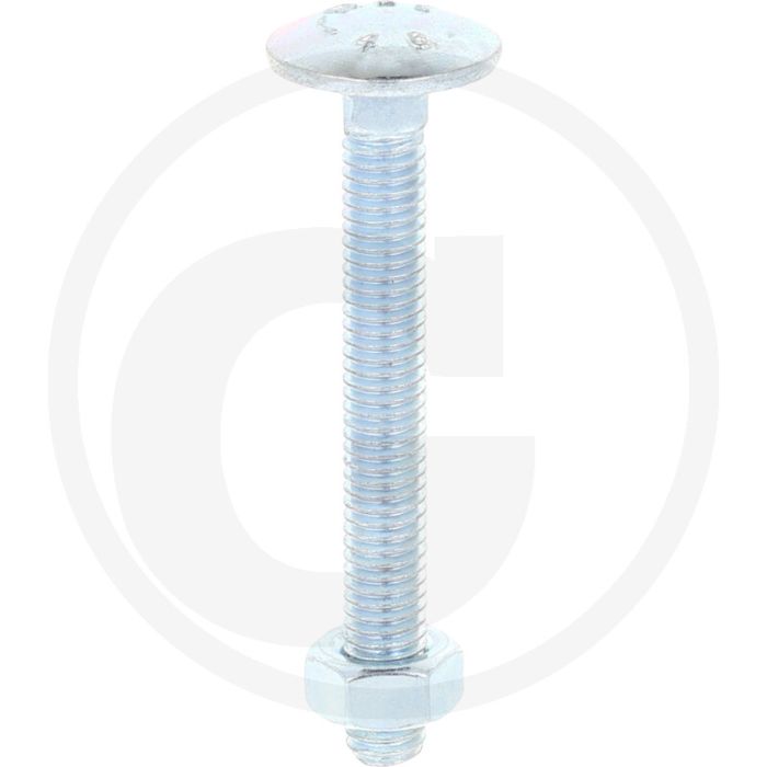 Slotbouten DIN 603 M6 staal 4.6 gegalvaniseerd 50 mm platte ronde kop