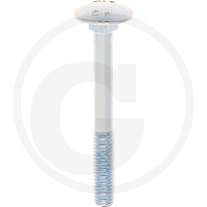VPE50 slotbouten M6x55 DIN 603 staal 4.6 gegalvaniseerd platte ronde kop