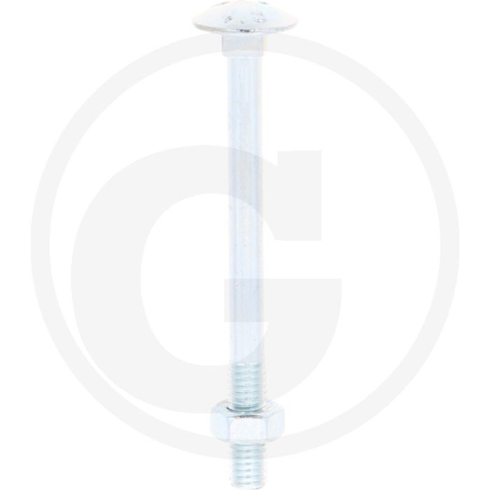 VPE50 slotbouten M6x70 DIN 603 staal 4.6 gegalvaniseerd platte ronde kop