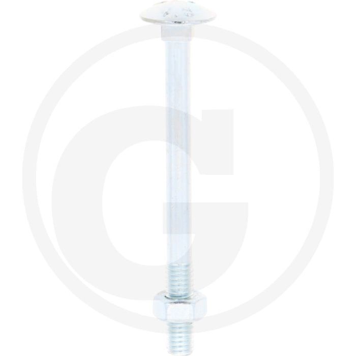 VPE50 slotbouten M6x70 DIN 603 gegalvaniseerd staal 4.6 platte ronde kop