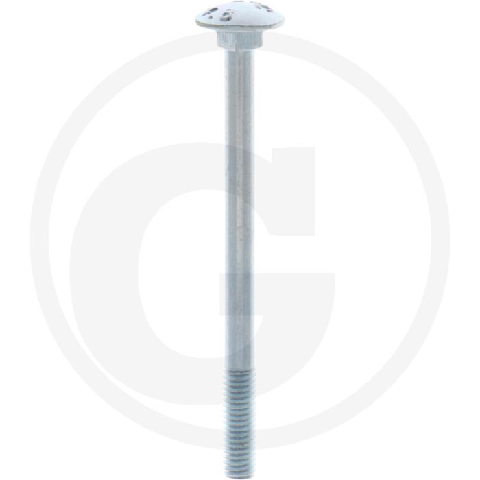 VPE50 slotbouten M6x80 DIN 603 staal 4.6 gegalvaniseerd platte ronde kop