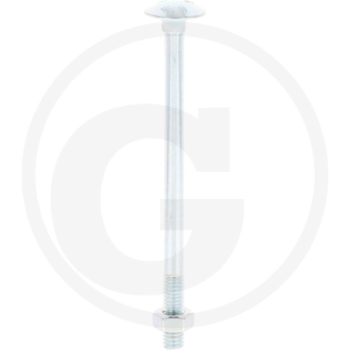 VPE50 slotbouten M6x90 DIN 603 staal 4.6 gegalvaniseerd platte ronde kop
