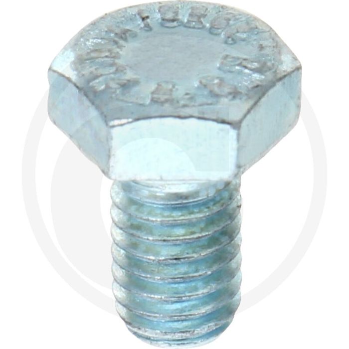 VPE100 zeskantbouten M6x10 DIN 933 (VPE100)