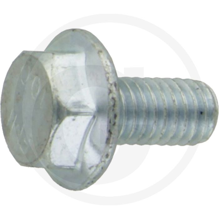Zeskantbout DIN 88913 M6 x 12 staal verzinkt metrische schroefdraad