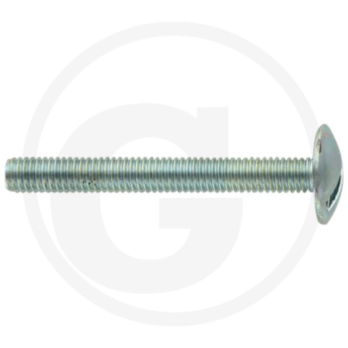 Boordwandschroef M6 x 50 DIN 88107 Verzinkt Staal 4.6 Platte Ronde Kop