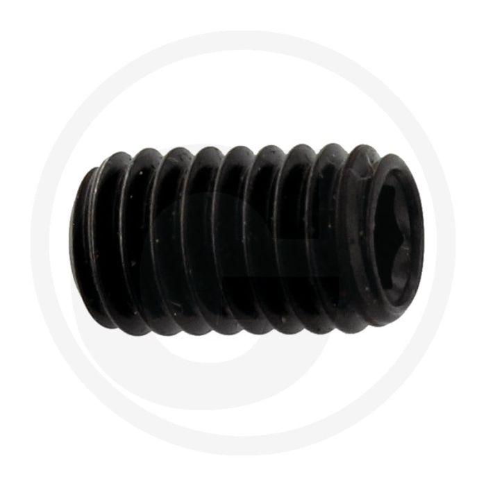 Stelbout M6 x 10 DIN 913 Gegalvaniseerd Staal Binnenzeskant