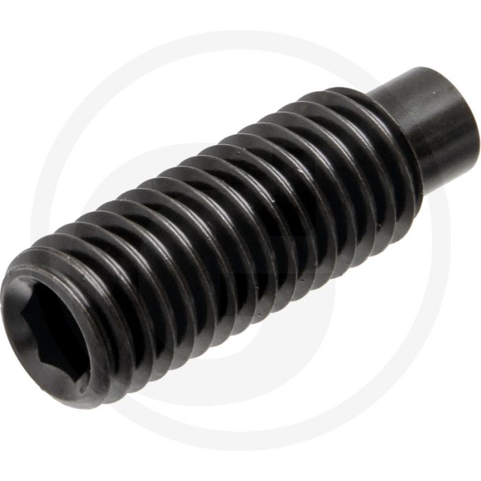 Stelbout M6 x 6 DIN 915 staal gegalvaniseerd binnenzeskant metrische schroefdraad