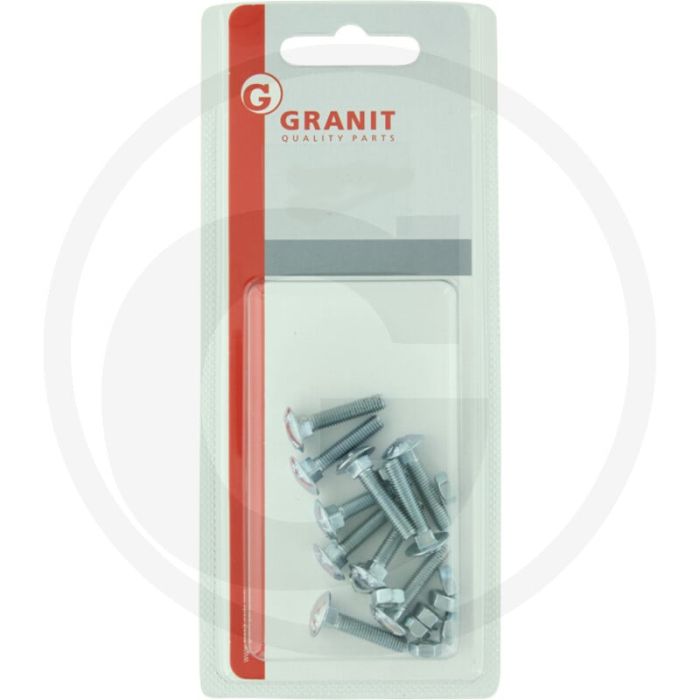 Blister Slotbouten DIN 603 M6 staal 4.6 gegalvaniseerd 40 mm (10 stuks)