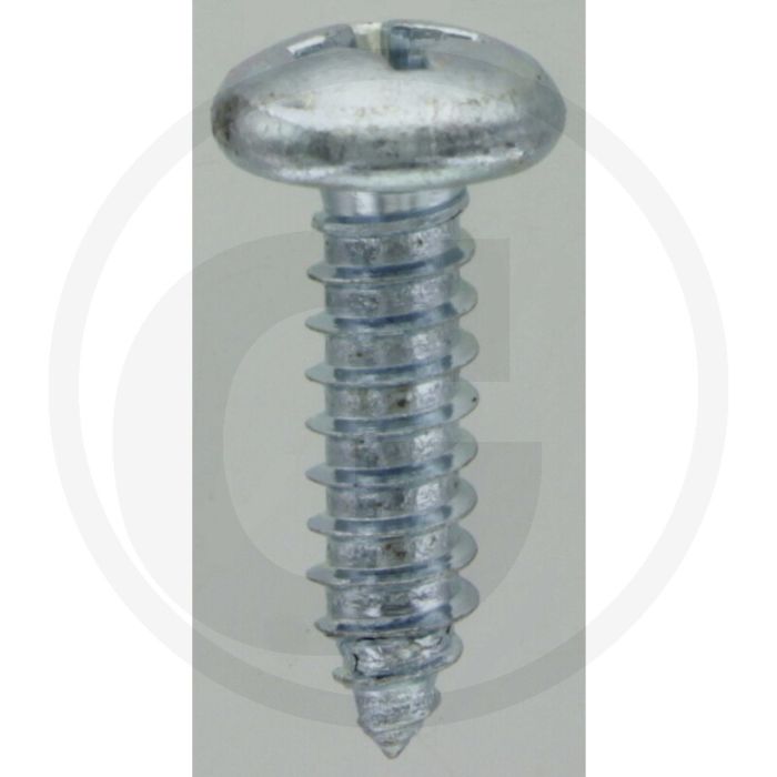 Bolkop plaatschroef 6,3 x 22 DIN 7981 (VPE100)