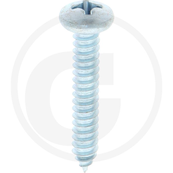 Bolkop plaatschroef 6,3 x 38 DIN 7981 (VPE100)
