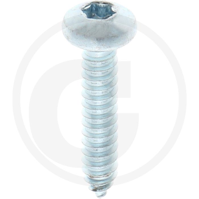 Bolkop plaatschroef 6,3 x 32 DIN 7981 (VPE250)