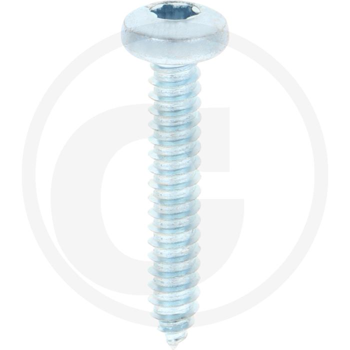 Bolkop plaatschroef 6,3 x 38 DIN 7981 (VPE250)