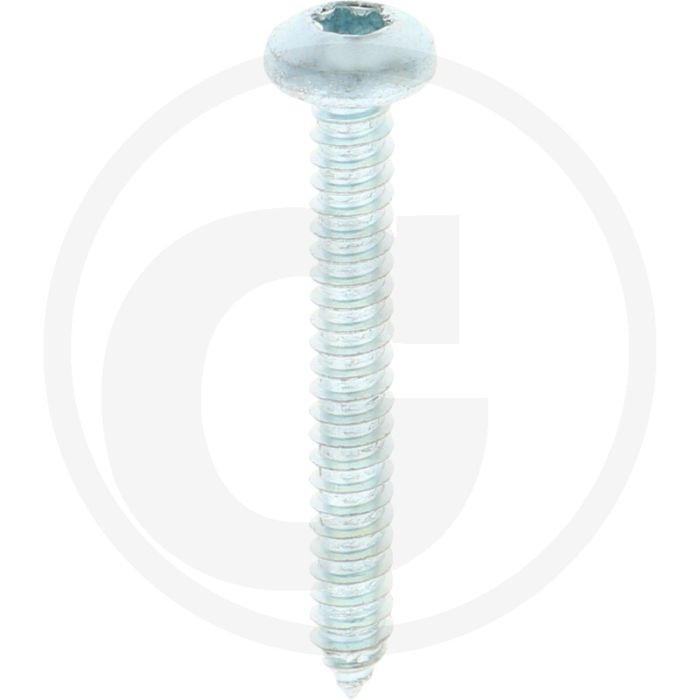 Bolkop plaatschroef 6,3 x 50 DIN 7981 (VPE250)