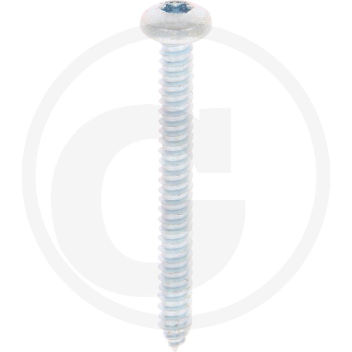 Bolkop plaatschroef 6,3 x 60 DIN 7981 (VPE250)