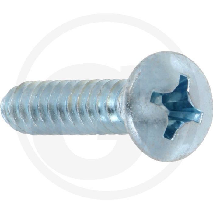 Bolkop plaatschroef 6,3 x 32 DIN 7983 (VPE100)