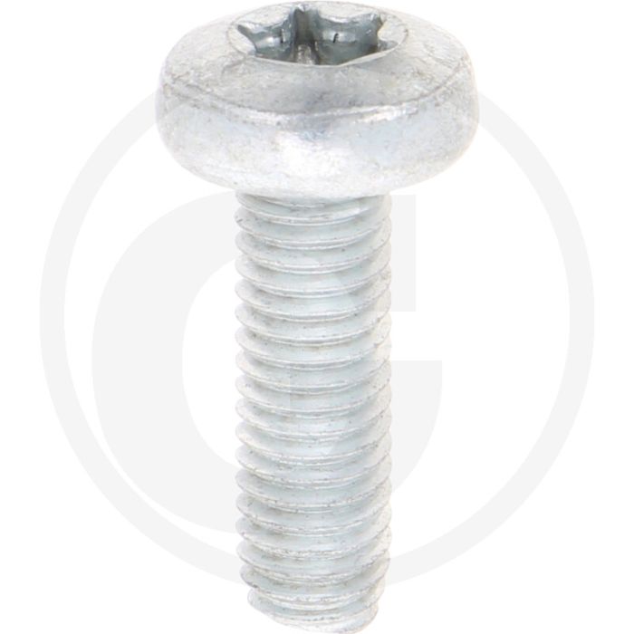 Zelfdraadvormende bout M8x25 DIN7500 (VPE500)