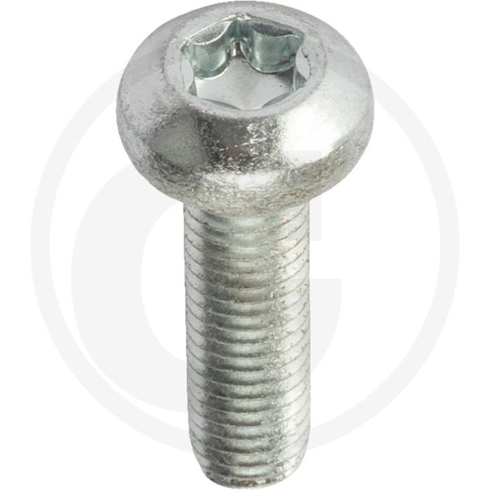 Zelfdraadvormende bout M8x30 DIN7500 (VPE100)