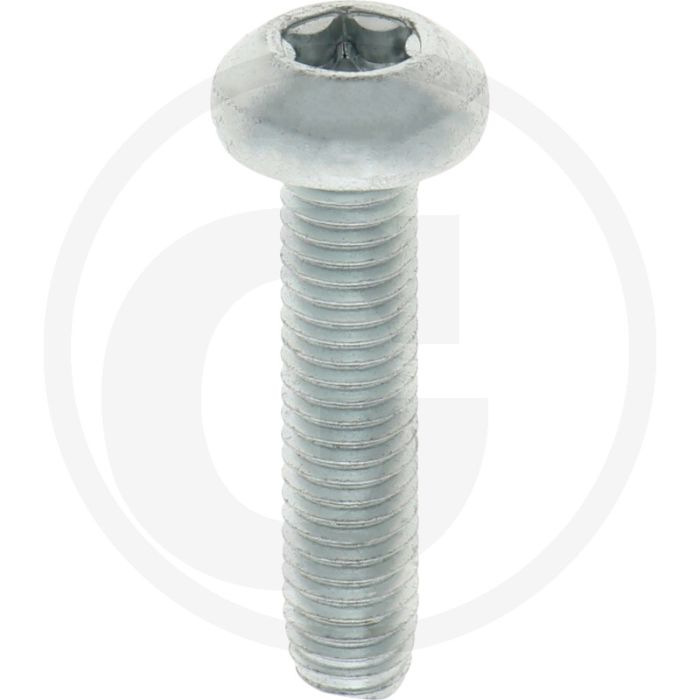 Zelfdraadvormende bout M8x35 DIN7500 (VPE100)