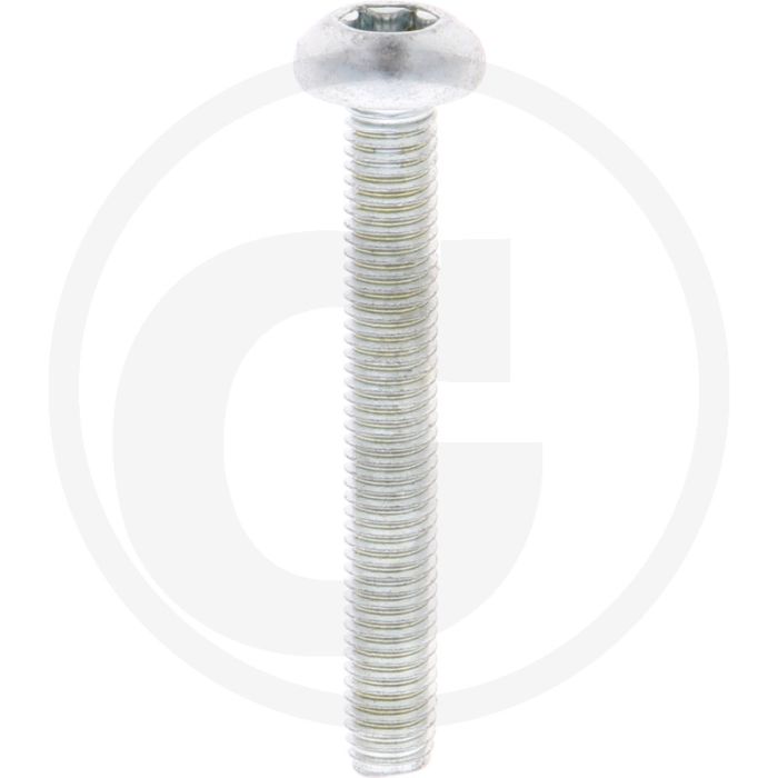Zelfdraadvormende bout M8x55 DIN7500 (VPE250)