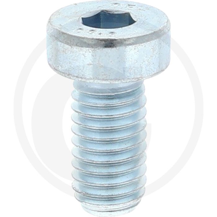 VPE200 cilinderkopbouten M8x16 DIN 7984 staal 8.8 gegalvaniseerd TORX® T40