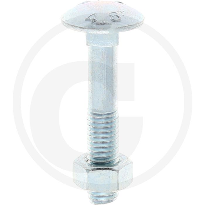 Slotbouten DIN 603 M8 staal 4.6 gegalvaniseerd 45 mm platte ronde kop