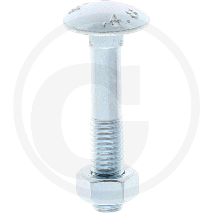 VPE50 slotbouten M8x45 DIN 603 gegalvaniseerd staal 4.6 platte ronde kop