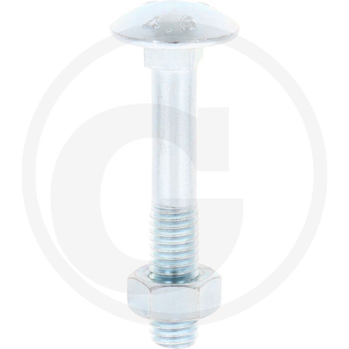 Slotbouten DIN 603 M8 staal 4.6 gegalvaniseerd lengte 50 mm