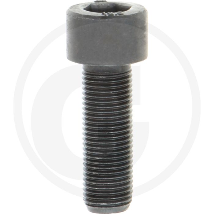 Cil. binnenzeskantbout M10x30 DIN912 staal 12.9 gegalvaniseerd