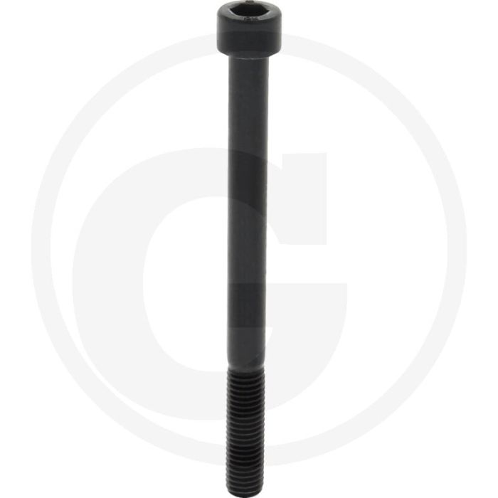 Cil. binnenzeskantbout M10x120 DIN912 staal 12.9