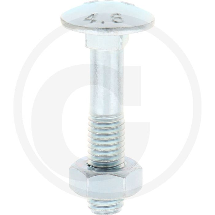 VPE50 slotbouten M10x50 DIN 603 staal 4.6 gegalvaniseerd platte ronde kop