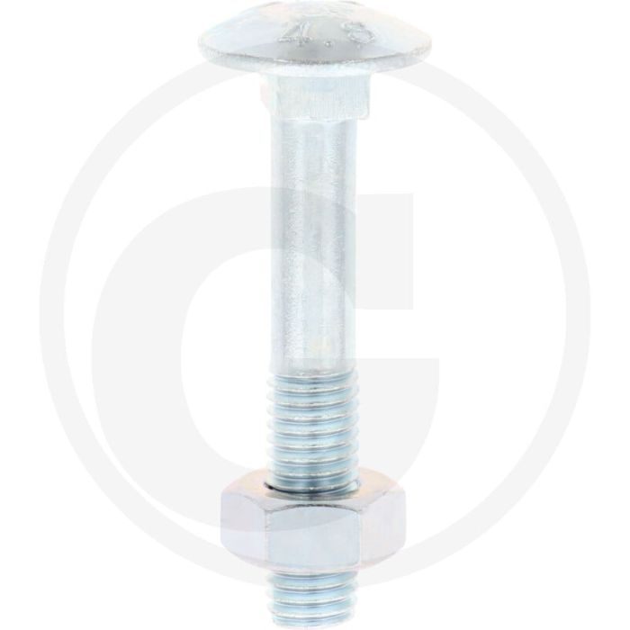 VPE50 slotbouten M10x60 DIN 603 gegalvaniseerd staal 4.6 platte ronde kop