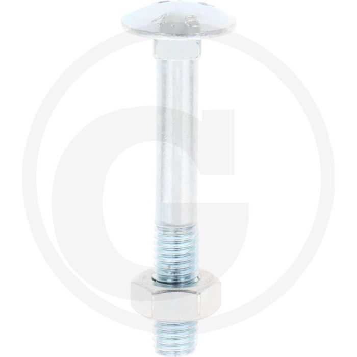 VPE25 slotbouten M10x70 DIN 603 staal 4.6 gegalvaniseerd platte ronde kop
