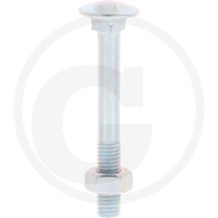 VPE50 slotbouten M10x80 DIN 603 staal 4.6 gegalvaniseerd platte ronde kop