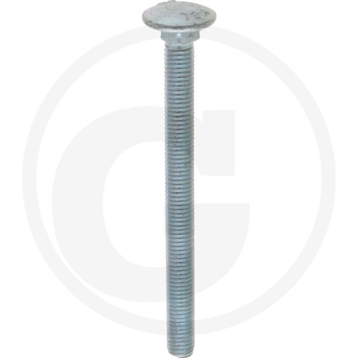 VPE25 slotbouten M10x120 DIN 603 staal 4.6 gegalvaniseerd platte ronde kop